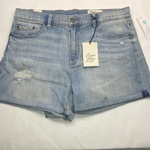 Cosmic Blue Love Jodie Shorts Size 31
